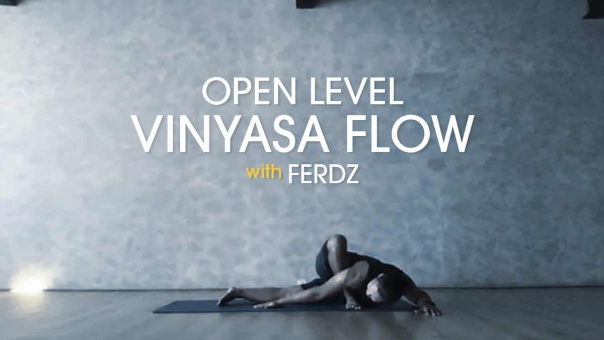 Open Level Vinyasa Flow